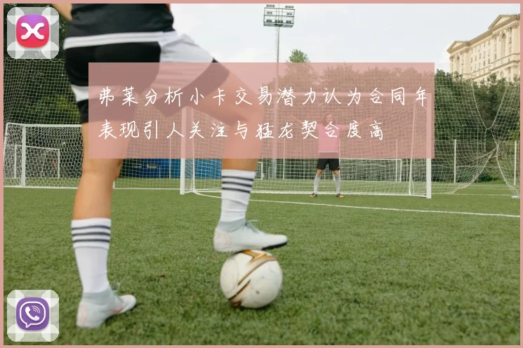 弗莱分析小卡交易潜力认为合同年表现引人关注与猛龙契合度高